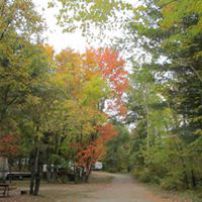 LAKE GEORGE CAMPSITE & BAR LLC